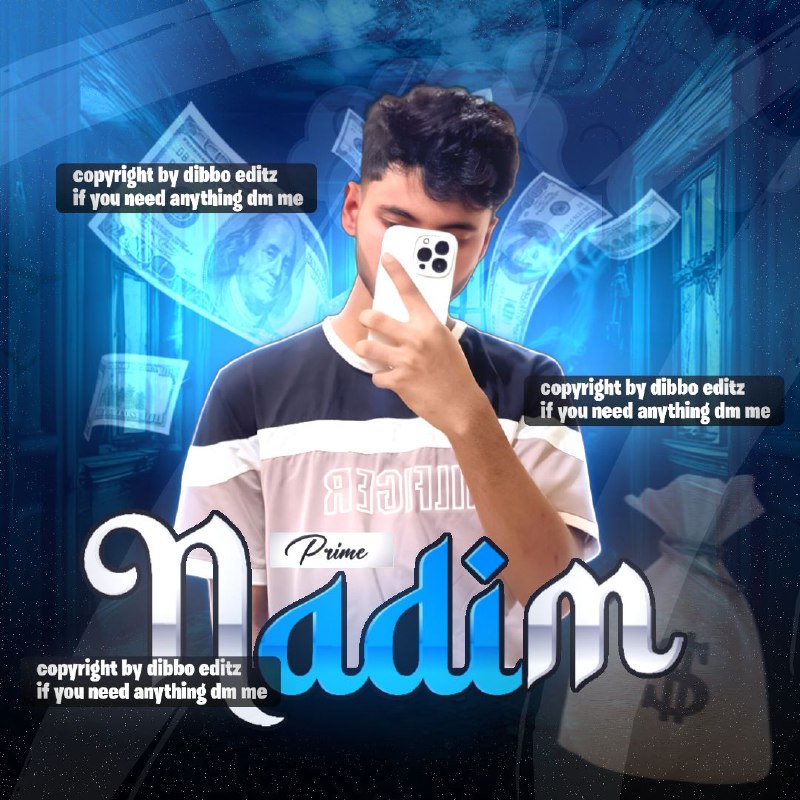 Prime Nadim Custom Profile Logo