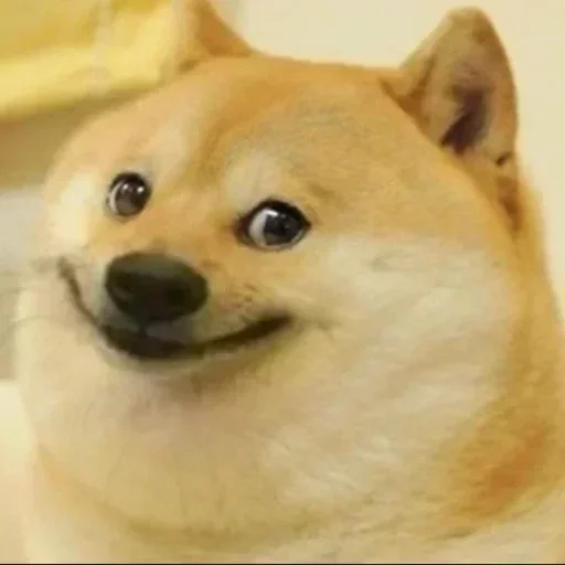 Doge Smirk Sticker